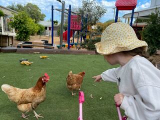 The children love interacting with our feathered friends! #earlychildhoodeducation #nature #kindergarten